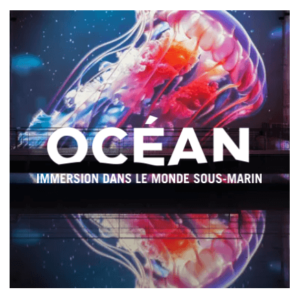 Bassin des lumières à Bordeaux