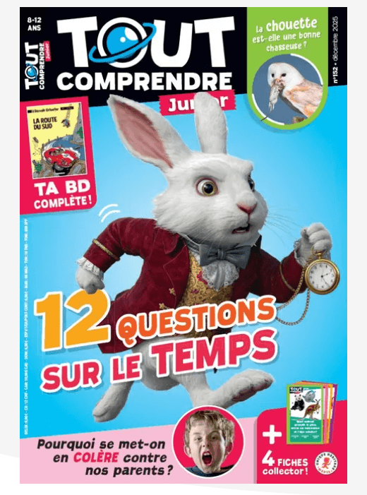 Tout Comprendre Junior