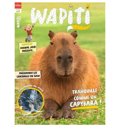 Wapiti